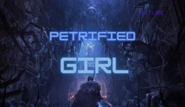 lords of the fallen petrified girl