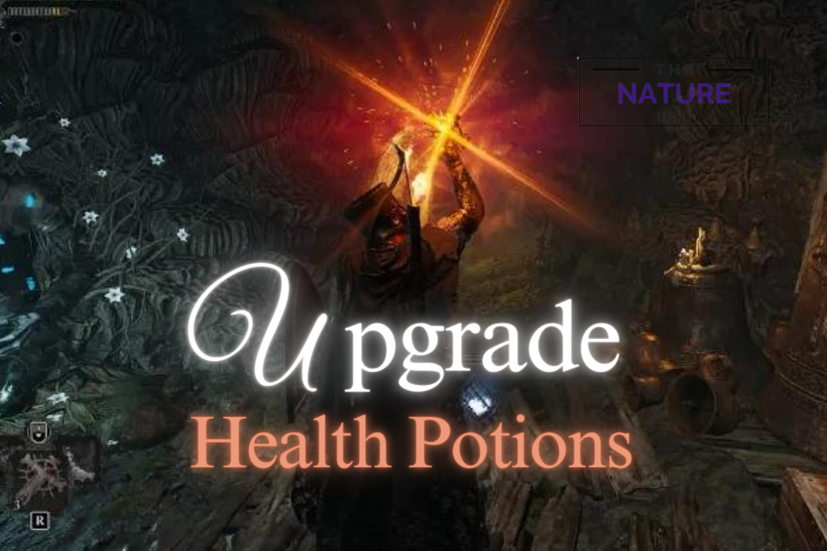 Upgrade Health Potions Art Of Enhancing Health In Lords Of The Fallen   Picture 22 