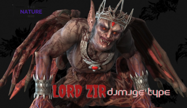 lord zir damage type