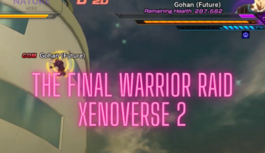 the final warrior raid xenoverse 2