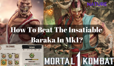 Beat The Insatiable Baraka In Mk1