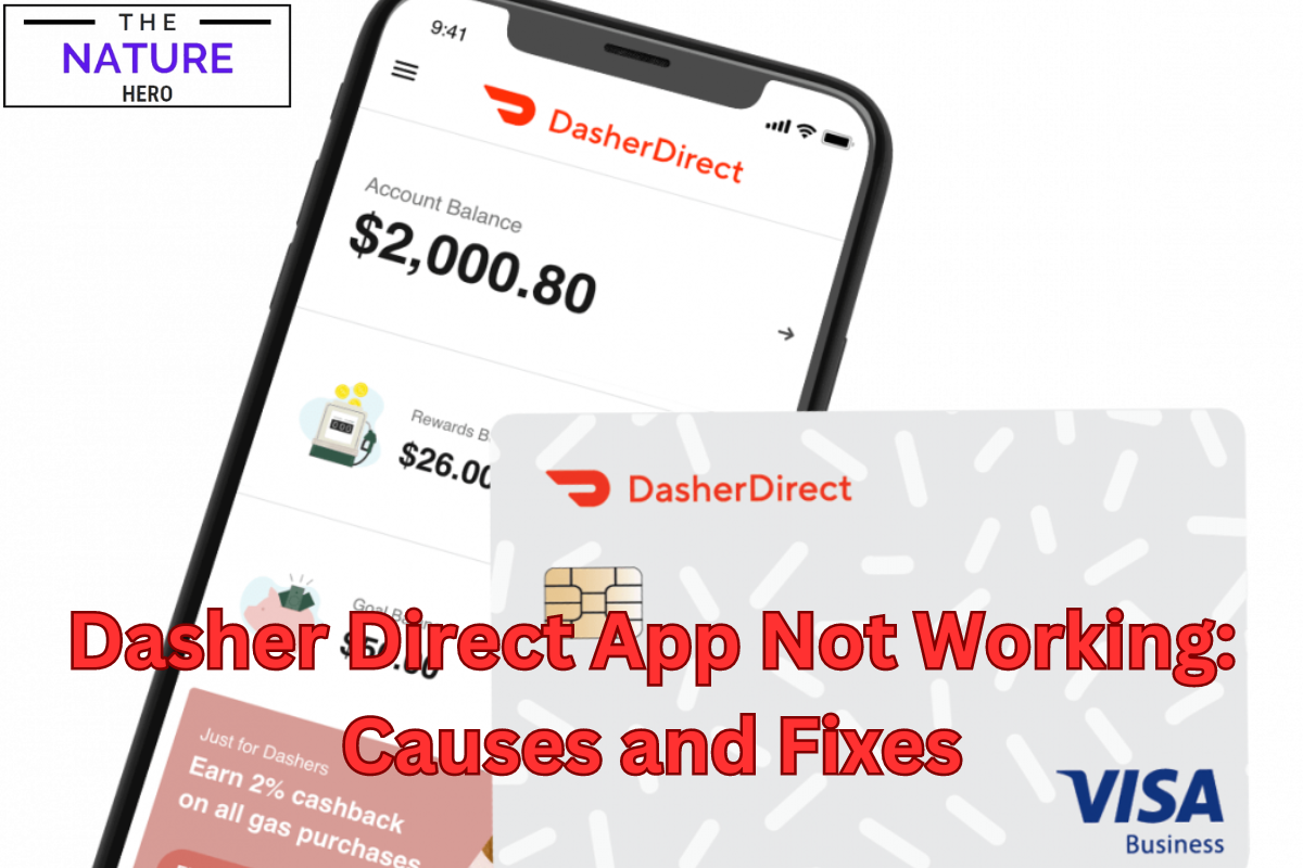 Dasher Direct App Not Working Causes and Fixes The Nature Hero