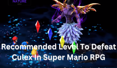 Recommended Level to defeat Culex in Super Mario RPG