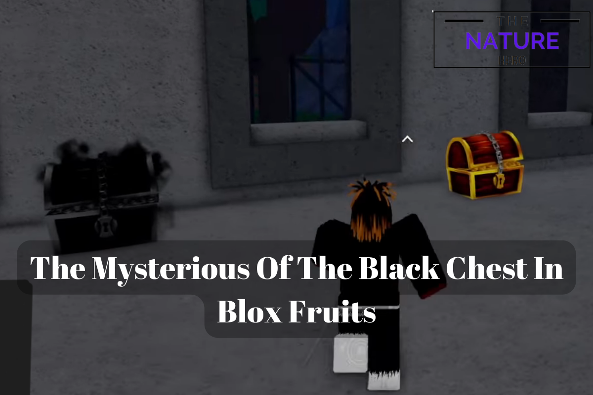 Where To Find Cursed Chest in Blox Fruits