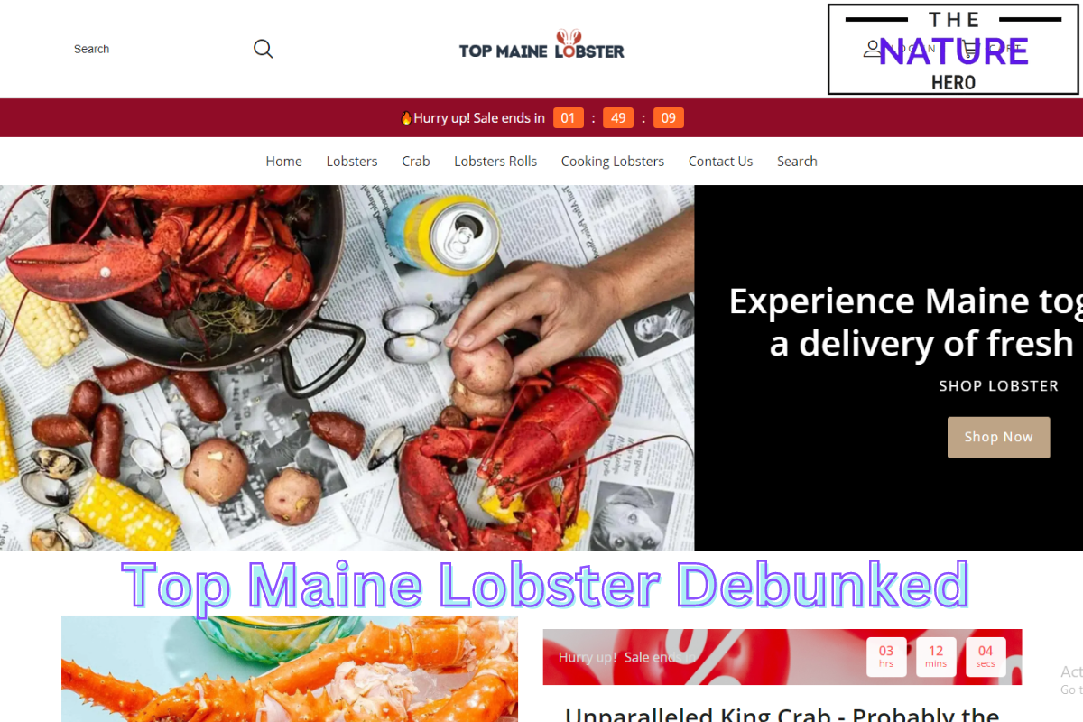 Top Maine Lobster Review: From Legitness To Red Flag - The Nature Hero