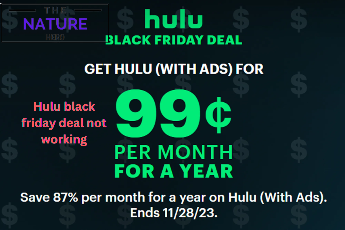 Is Hulu Black Friday Deal Not Working? The Nature Hero