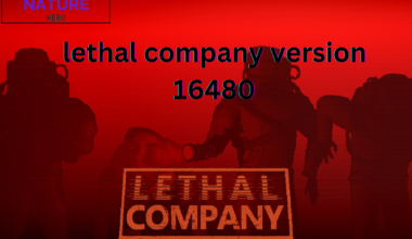 lethal company version 16480