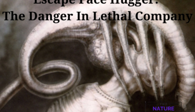 Escape Face Hugger: The Danger In Lethal Company