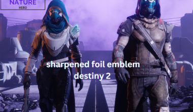 sharpened foil emblem destiny 2