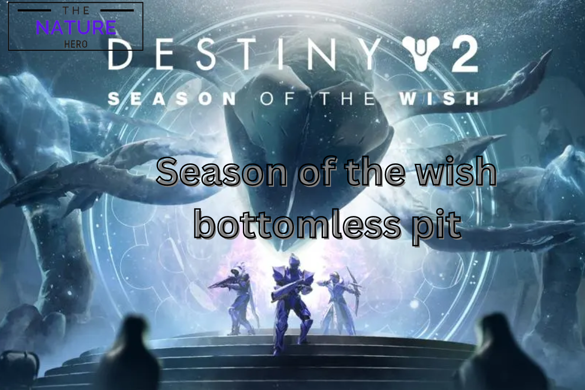 Season Of The Wish Bottomless Pit Destiny 2 The Nature