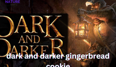 dark and darker gingerbread cookie