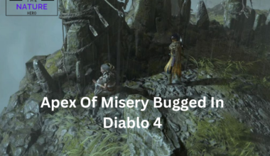 Is Apex Of Misery Bugged In Diablo 4?