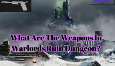 The Warlord's Ruin Dungeon weapons