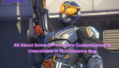 All About Some Of Your Hero Customization Is Unavailable In This Instance Bug