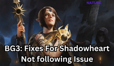 BG3 Fixes For Shadowheart Not following Issue