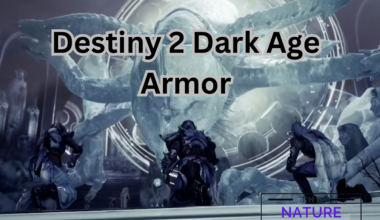 Destiny 2 Dark Age Armor