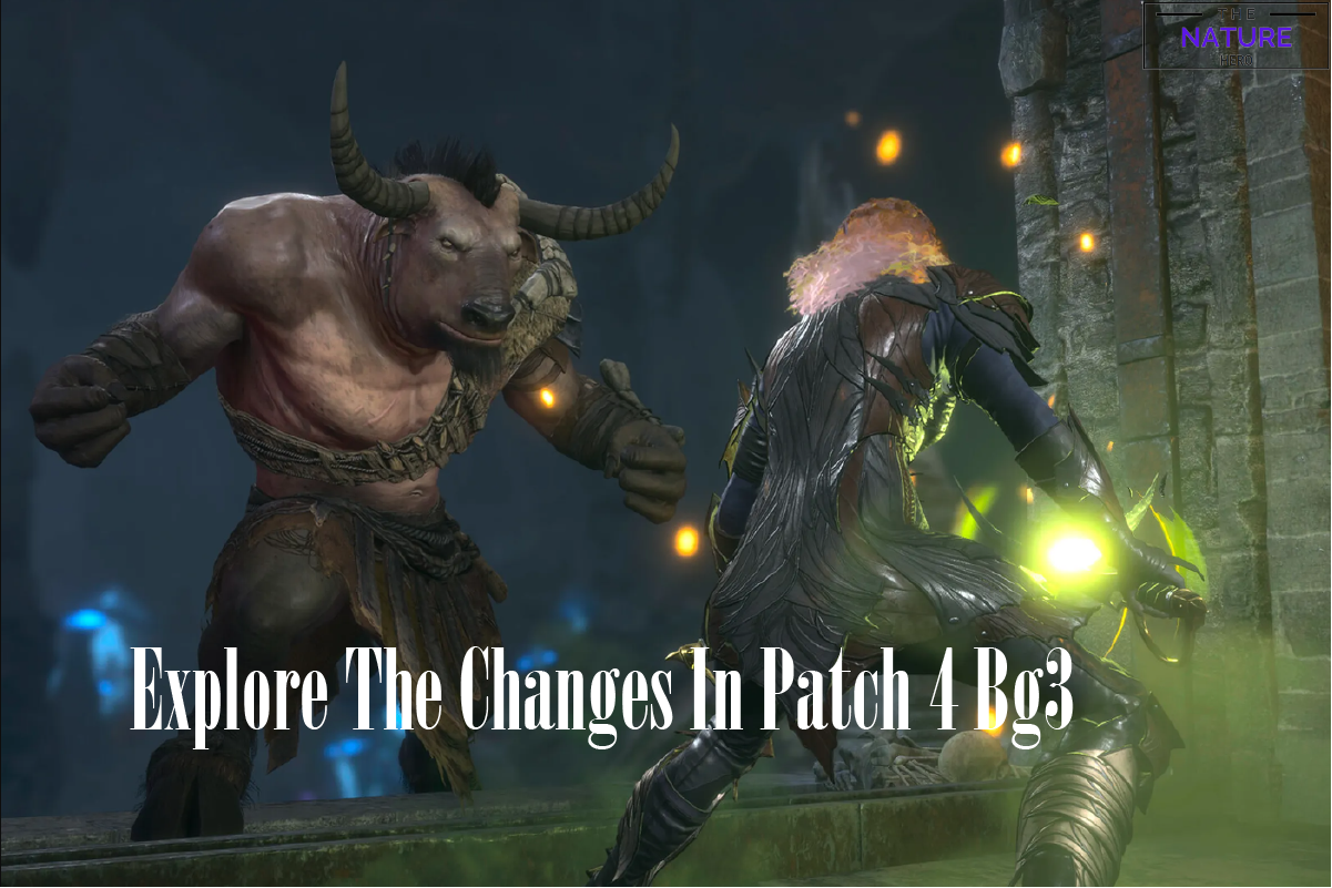 Explore The Changes In BG3 Patch 4 The Nature Hero