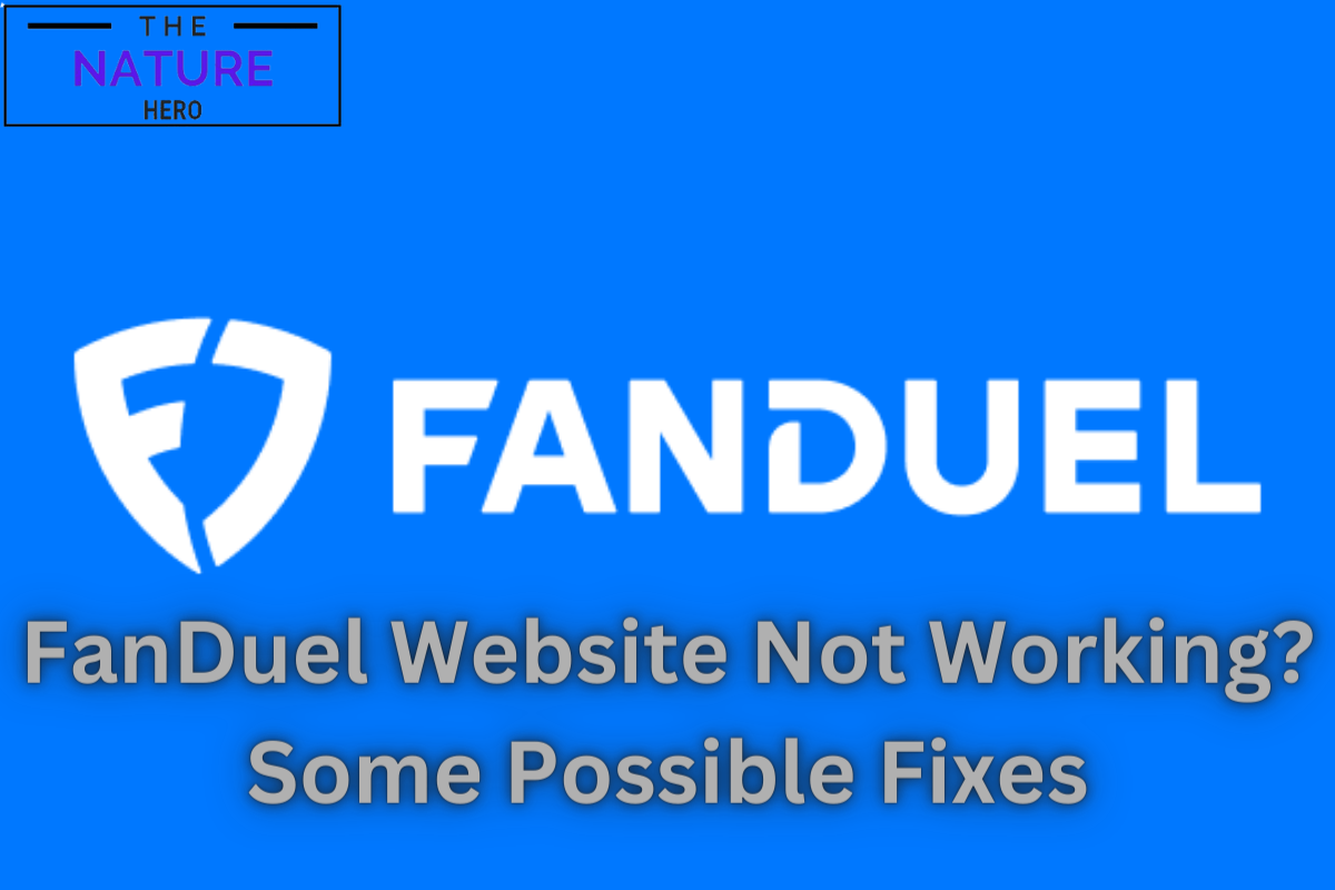 why-is-fanduel-website-not-working-some-possible-fixes-the-nature-hero