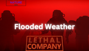 Flooded weather condition in lethal company