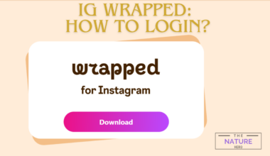 Ig wrapped login