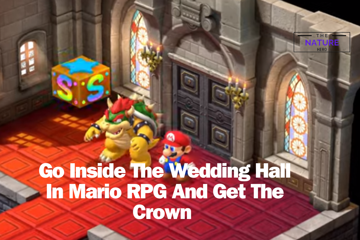 Go Inside The Wedding Hall In Mario RPG And Get The Crown The Nature Hero