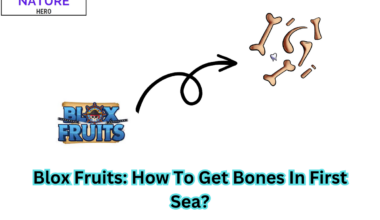 Blox Fruits: How To Get Bones In First Sea?