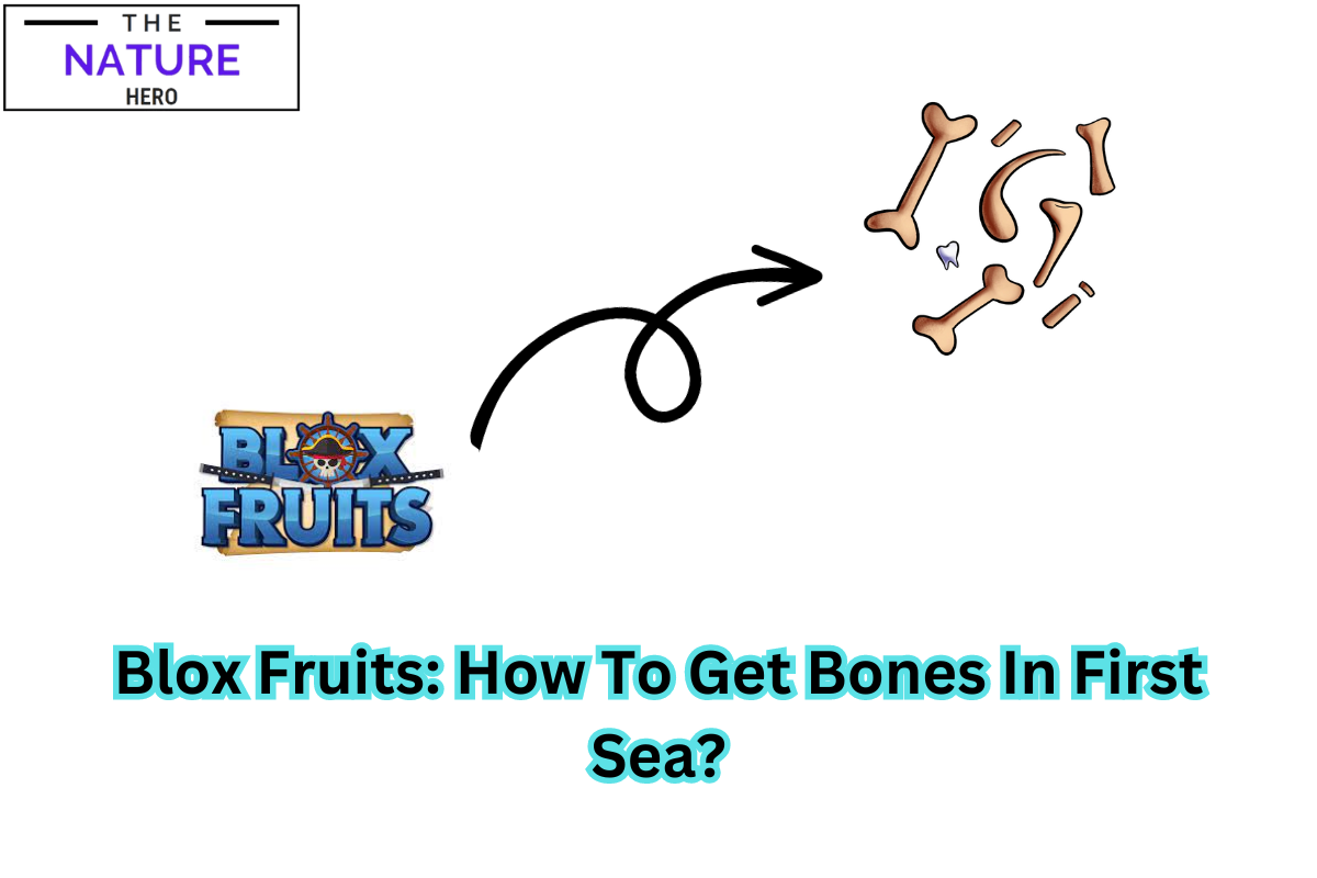 Pin em Blox fruits​DIY