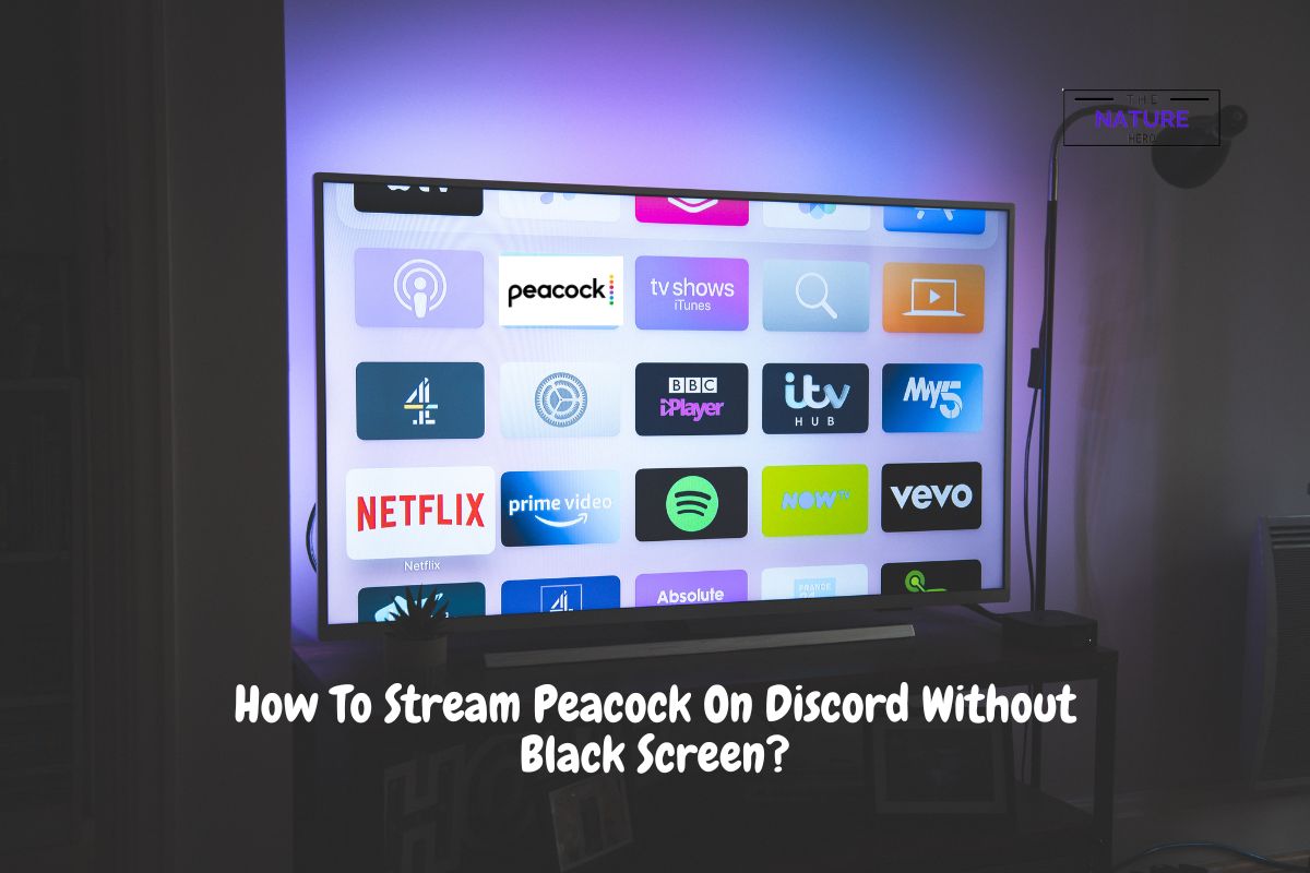 How To Stream Peacock On Discord Without Black Screen? - The Nature Hero