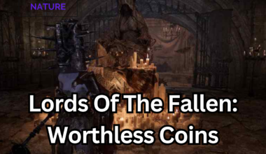 Worthless coins in Lords of The Fallen.