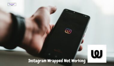 Instagram Wrapped Not Working