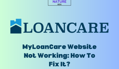 MyLoanCare Website Not Working How To Fix It