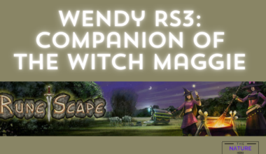 Wendy RS3 Companion Of The Witch Maggie
