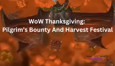 WoW Thanksgiving Pilgrim’s Bounty And Harvest Festival