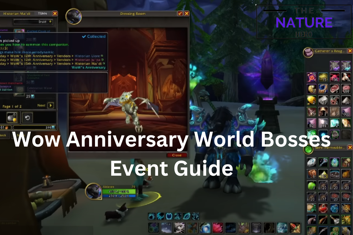 Wow Anniversary Event Guide To Defeat World Bosses The Nature Hero