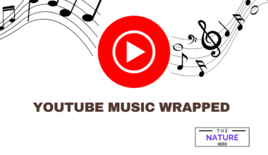 YouTube Music Wrapped