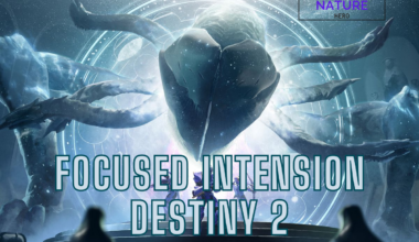 Focused Intention Destiny 2