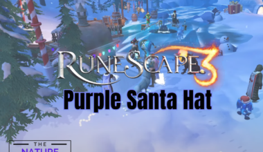 Purple Santa Hat In RS3
