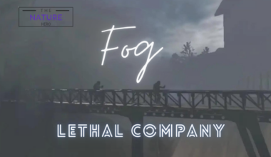 lethal company fog