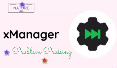 xmanager problem parsing