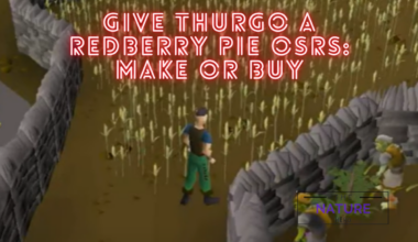 give Thurgo a redberry pie
