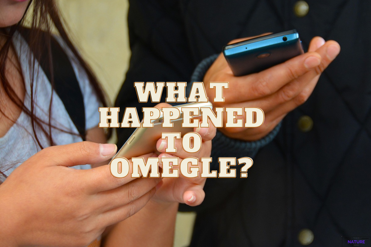 What Happened To Omegle? Issue Clarification The Nature Hero