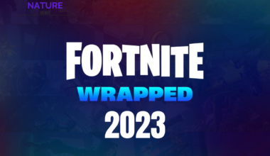 Fortnite Wrapped 2023