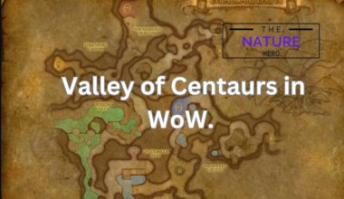 Valley of Centaurs