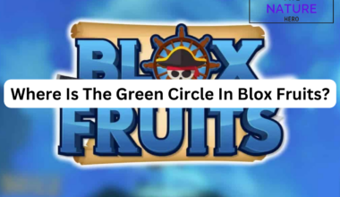 Green Circle In Blox Fruits