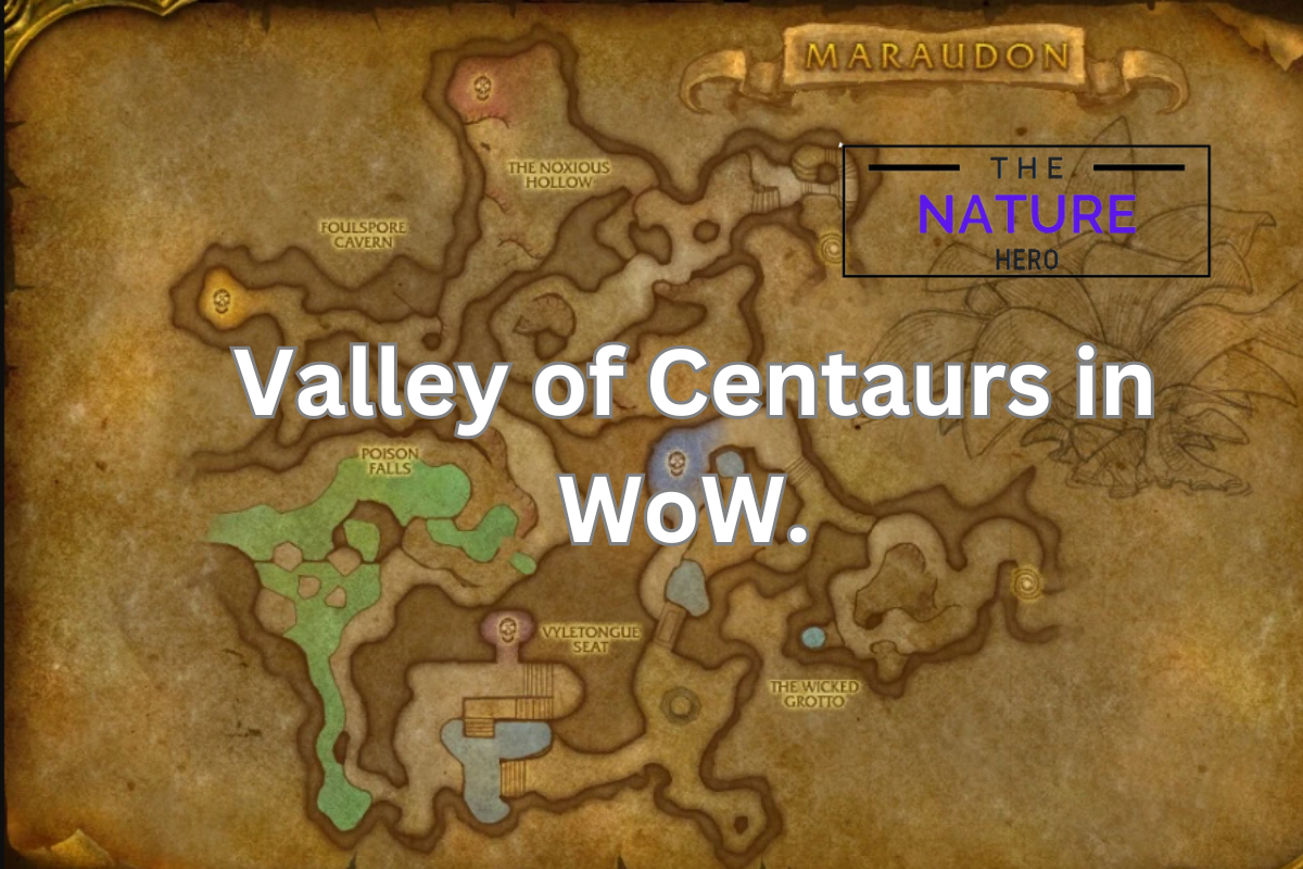 Explore The Valley Of Centaurs In WoW - The Nature Hero