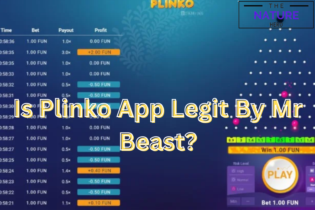 Is Plinko App By Mr Beast Legit? The Nature Hero