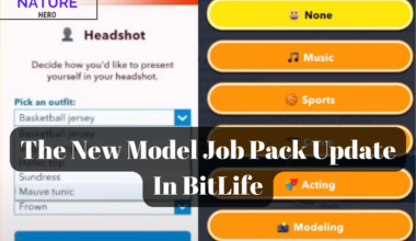 Model Job Pack