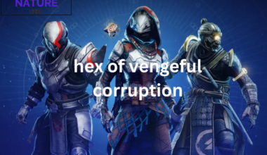 hex of vengeful corruption