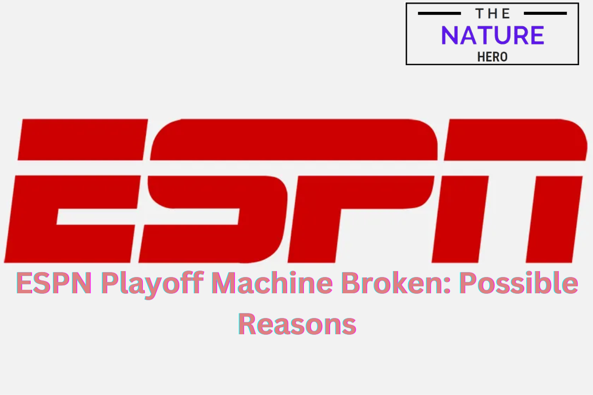 ESPN Playoff Machine Broken Possible Reasons The Nature Hero