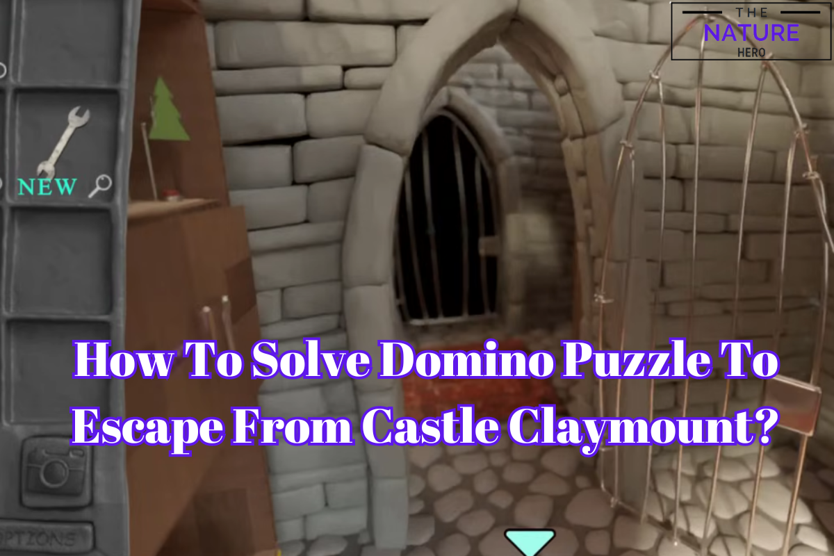 How To Solve Domino Puzzle To Escape From Castle Claymount? - The